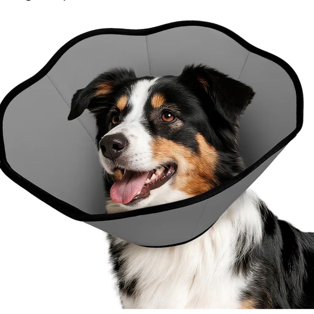 MIDOG Waterproof Recovery Collar